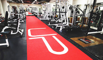 Ultimate Performance Personal Trainers London Mayfair